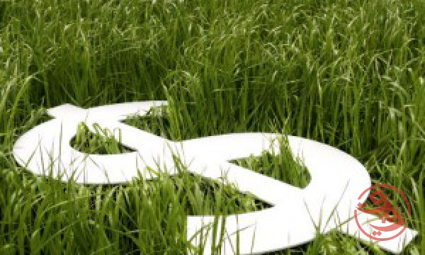 قیمت زمین